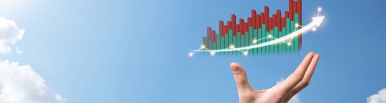 Quote – Handelsbeschränkung zur Verwaltung von Import- und Exportgrenzen